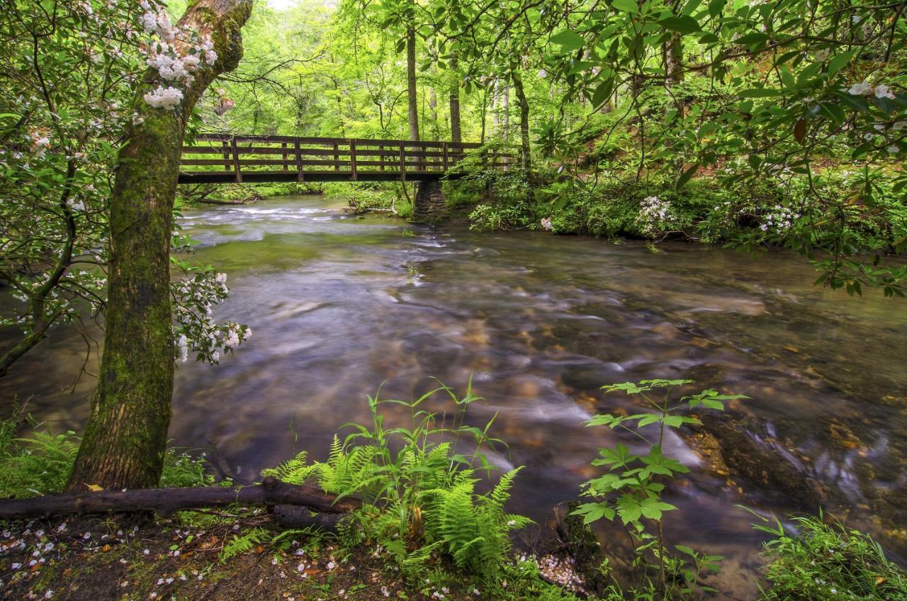 Bearly Hidden Villa Gatlinburg Exterior photo